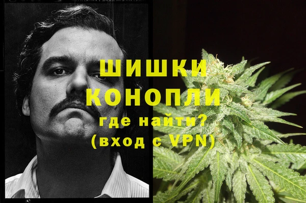 соль ск Пестово
