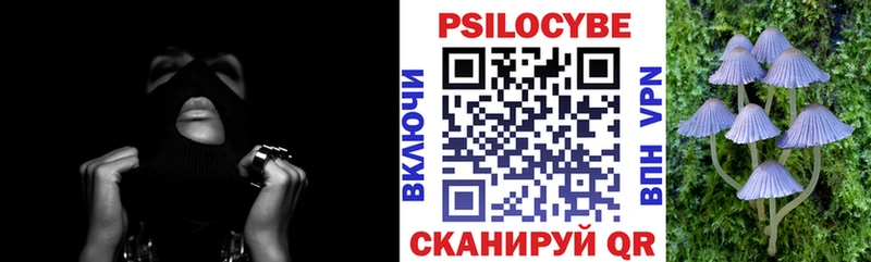 Псилоцибиновые грибы мицелий  Эртиль 